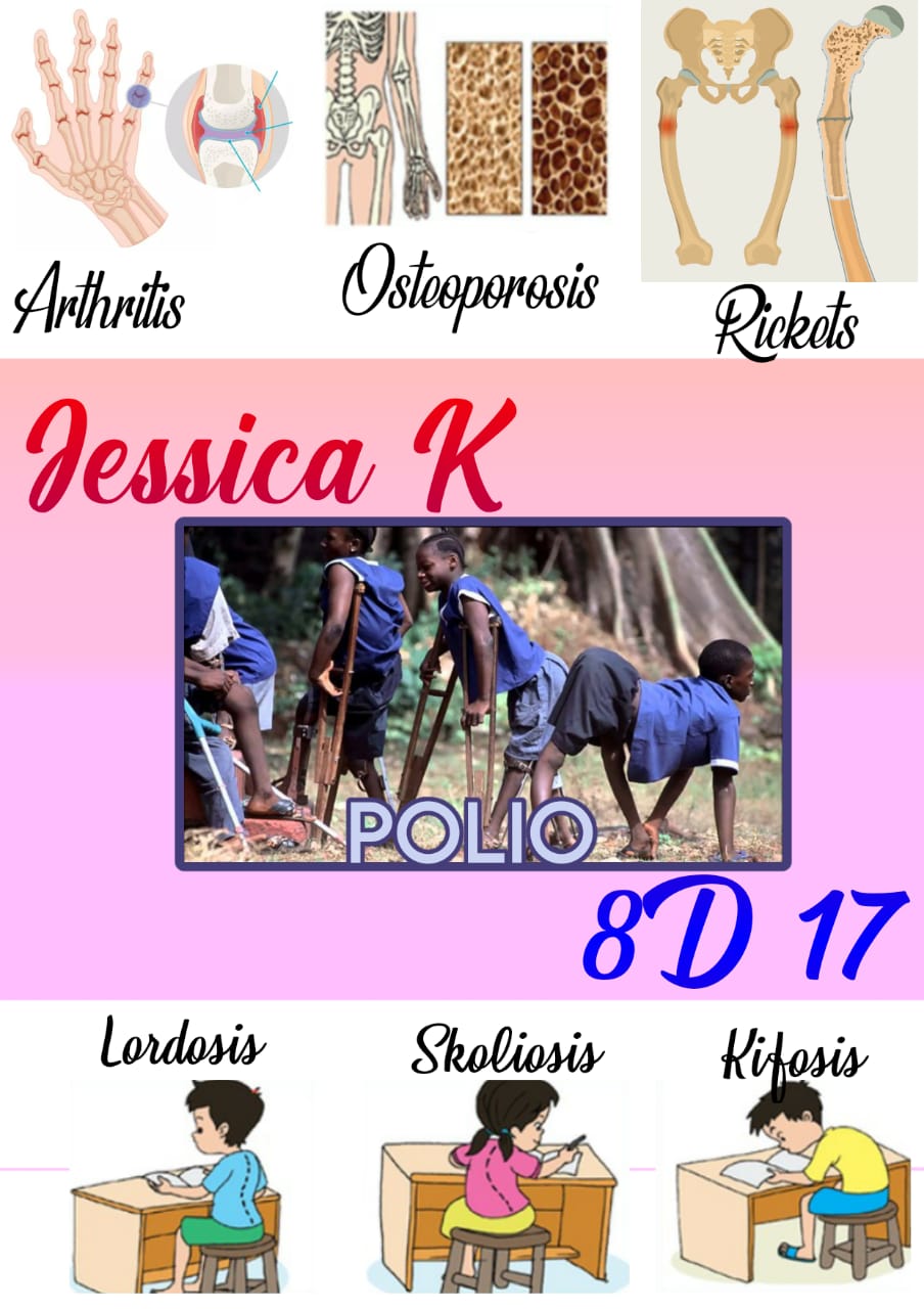 Sampul